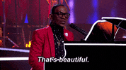 GIF by Name That Tune