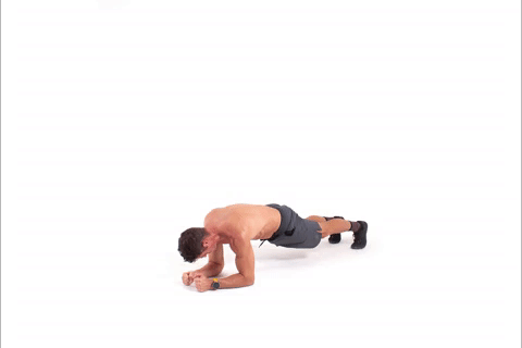 reptile plank to pushup GIF