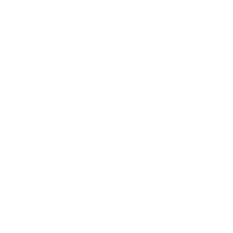 Secret Project Portugal Sticker by Insomniac Events