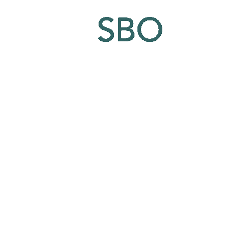 Sbo Sticker by Creative Label