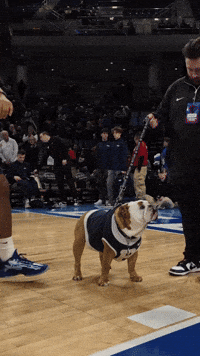 Happy Big East GIF by Butler University