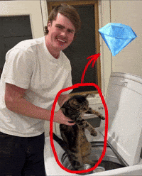 Look At That Big Leagues GIF