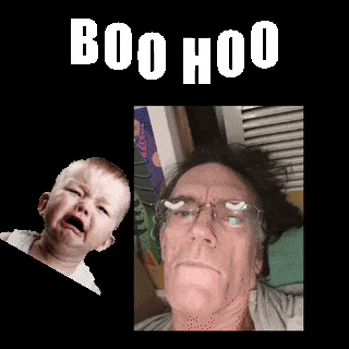 josephcoon6e33cf0a5cd14d79b7a59d084fe142fd giphyattribution boo hoo GIF