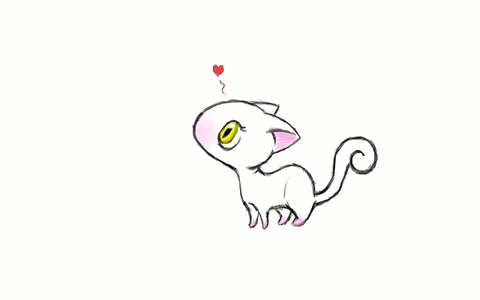 cute cat GIF