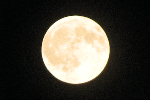 full moon night GIF