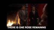 GIF by Giffffr
