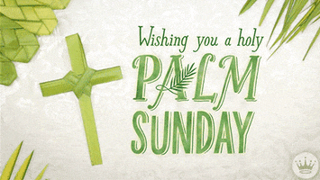Hallmark Ecards Typography GIF by Hallmark Gold Crown