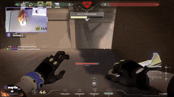 Mariecoeurselini GIF