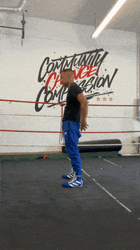 quinitboxing  GIF
