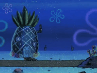 season 6 penny foolish GIF by SpongeBob SquarePants
