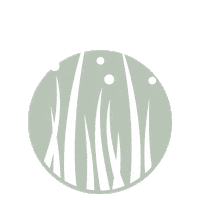 allergiecheck allergy pollen allergie allergiecheck Sticker