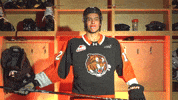Hockey Tiger GIF by Medicine Hat Tigers