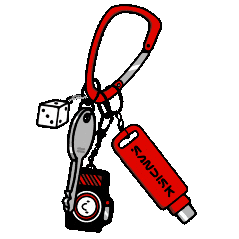 Usb Keychain Sticker by Sandisk