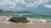 GIF by Nu Skin