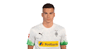 Bundesliga No Sticker by Borussia Mönchengladbach
