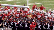 Ncaa Sports GIF by Ohio State Athletics
