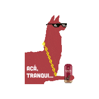 cervezasaltacautiva llama birra alpaca tranqui Sticker