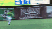 kccougars kccougars GIF