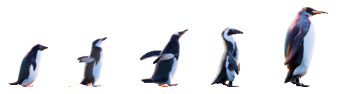 Excited On My Way Sticker