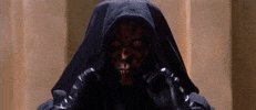 Revenge Of The Fifth GIF by Star Wars
