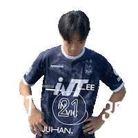 Football Sport Sticker