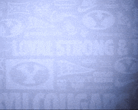 Go Cougs GIF by BYU Cougars
