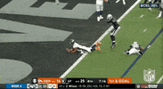 Denver Broncos Football GIF by NFL