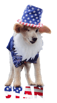 Dog Usa Sticker