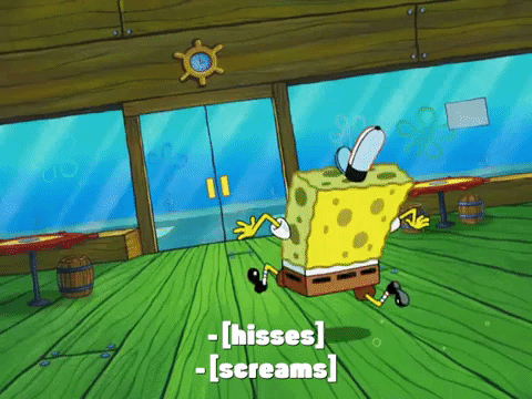season 8 GIF by SpongeBob SquarePants