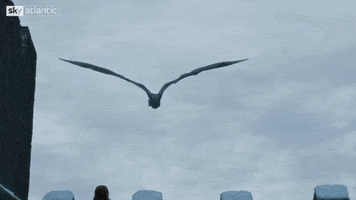 GIF by Sky