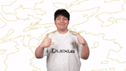 100T Thumbs Up GIF by 100 Thieves