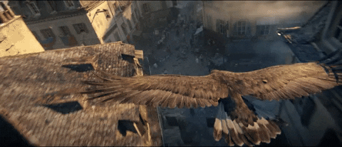 GIF by Assassin's Creed