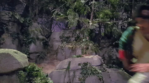 Puydufou explore GIF