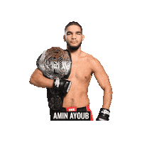 Mixed Martial Arts Mma Sticker by BRAVE Combat Federation