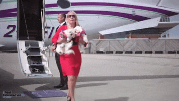 Channel Islands Ladies GIF by Real Housewives of Jersey