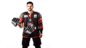 boxersdebordeaux sport celebration goal hockey Sticker