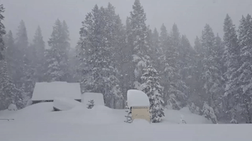 Feet of Snow Pile Up in California's Sierra Nevada, 'More on the Way'