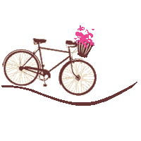 Bike Love Sticker