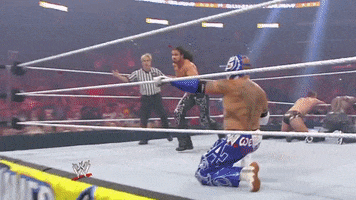wwe sports wwe wrestling 2011 GIF