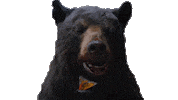 Hungry Chaos Sticker by Cocaine Bear