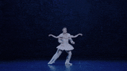 Nutcracker GIF by English National Ballet