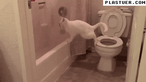 giphyupload GIF