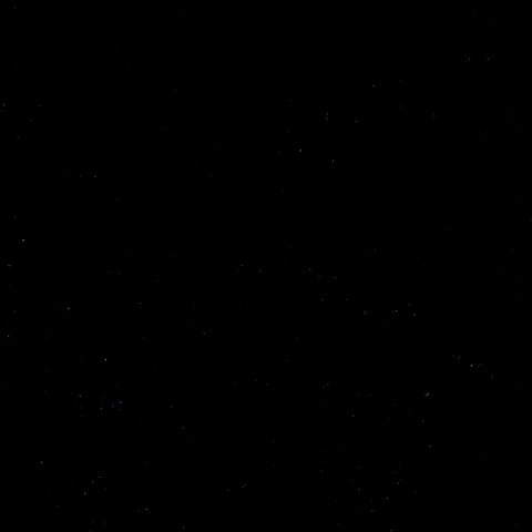 Celebration Hockey GIF by Eisbären Berlin