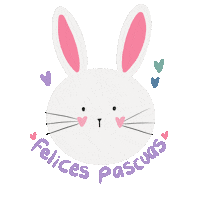 Bunny Love Sticker by Melita Dg