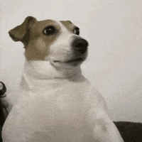 Surprised Oh No GIF