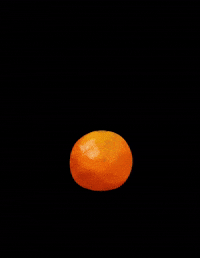 nkpcreate orange fruit citrus clementine GIF