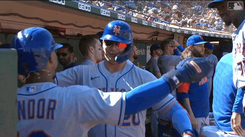 Happy Ny Mets GIF by New York Mets