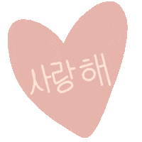 Idol 사랑해 Sticker