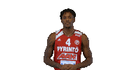 Sport Basketball Sticker by Basket_fi