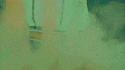 North Dakota State Softball GIF by NDSU Athletics